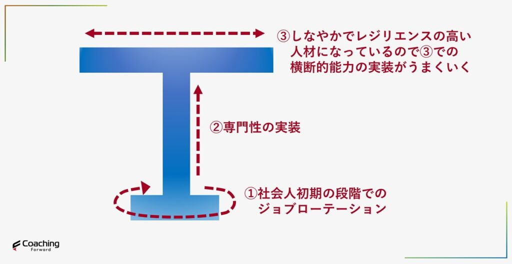 ジョブローテーションなどをしたうえで専門性を磨くことでT型人材を育成することができる