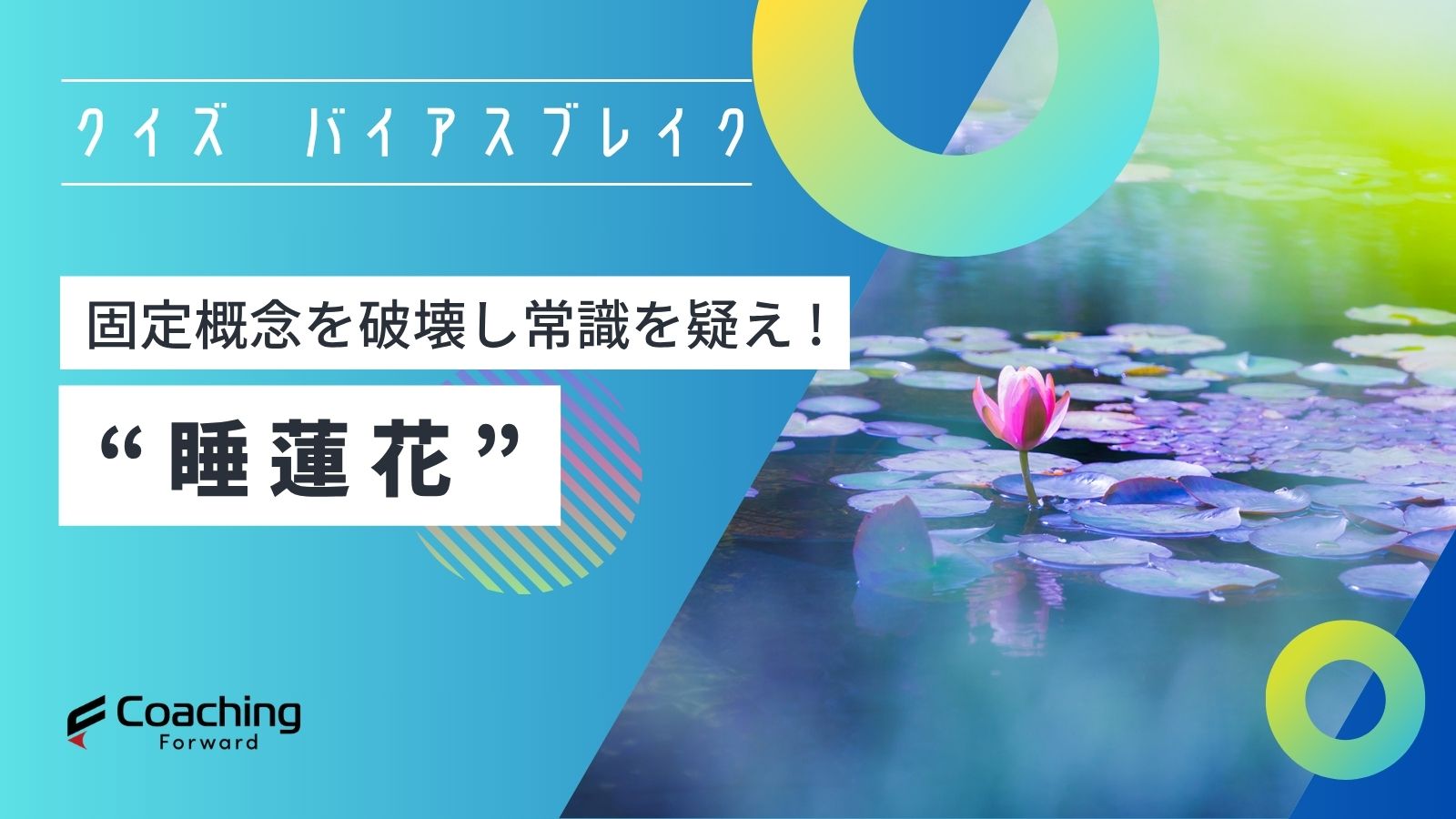 クイズバイアスブレイク増える睡蓮花